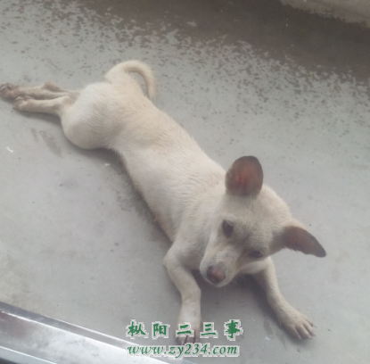 QQ截图20140702110319.png