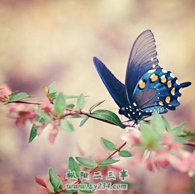 85_26495_c08858ead829e3f.jpg