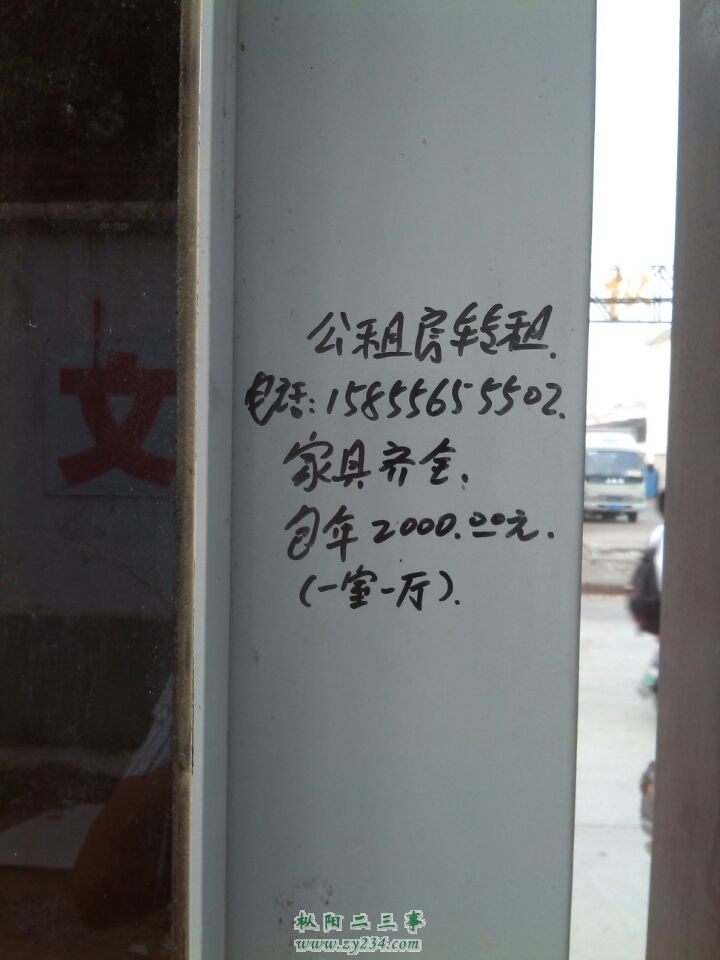下枞阳公交站台上的公告