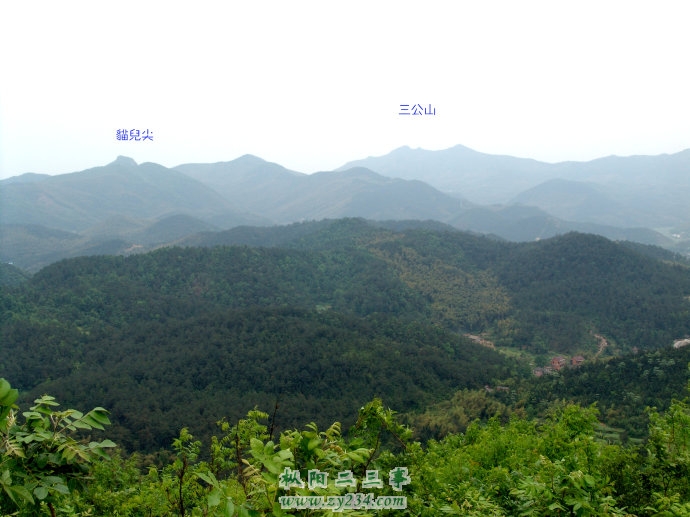 在香炉尖远眺三公山，左侧为猫儿尖，山峰像一只猫耳朵。三公山与香炉尖一脉相承！