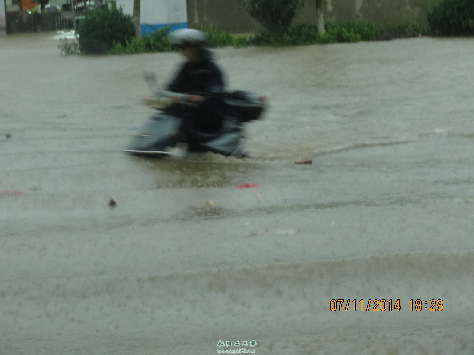 水将电瓶前轮都淹了
