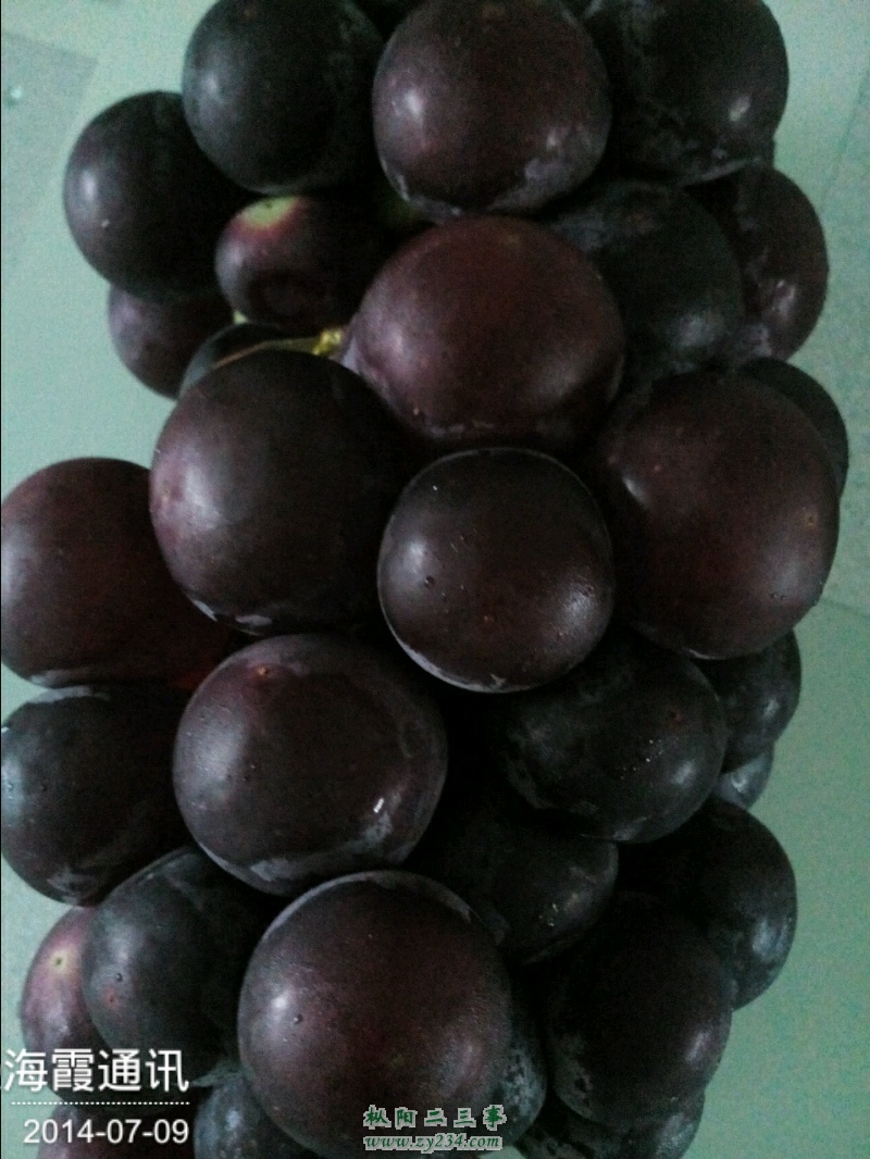 2014_07_09_06_46_10.jpg