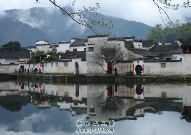 DSC07178_副本.jpg