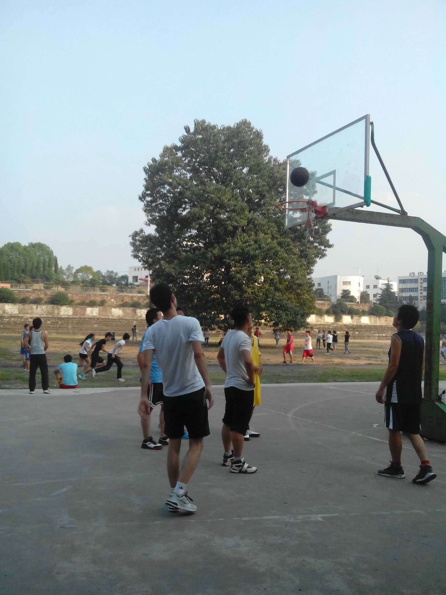 IMG_20140917_165025.jpg