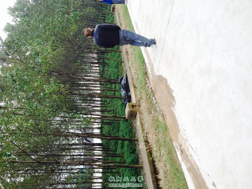 QQ图片20140920123404.jpg