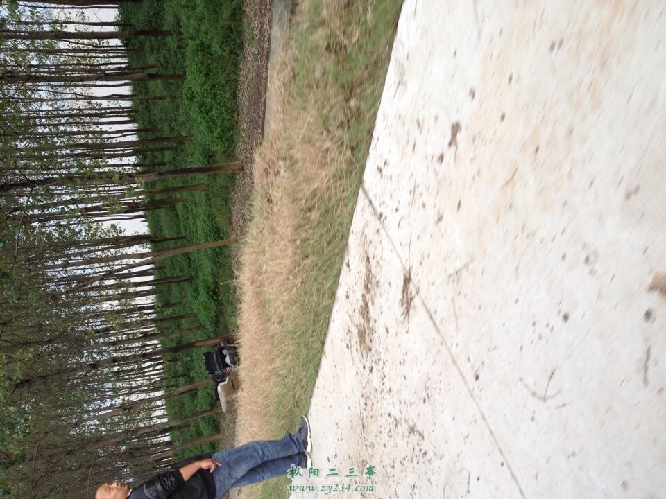 QQ图片20140920123359.jpg