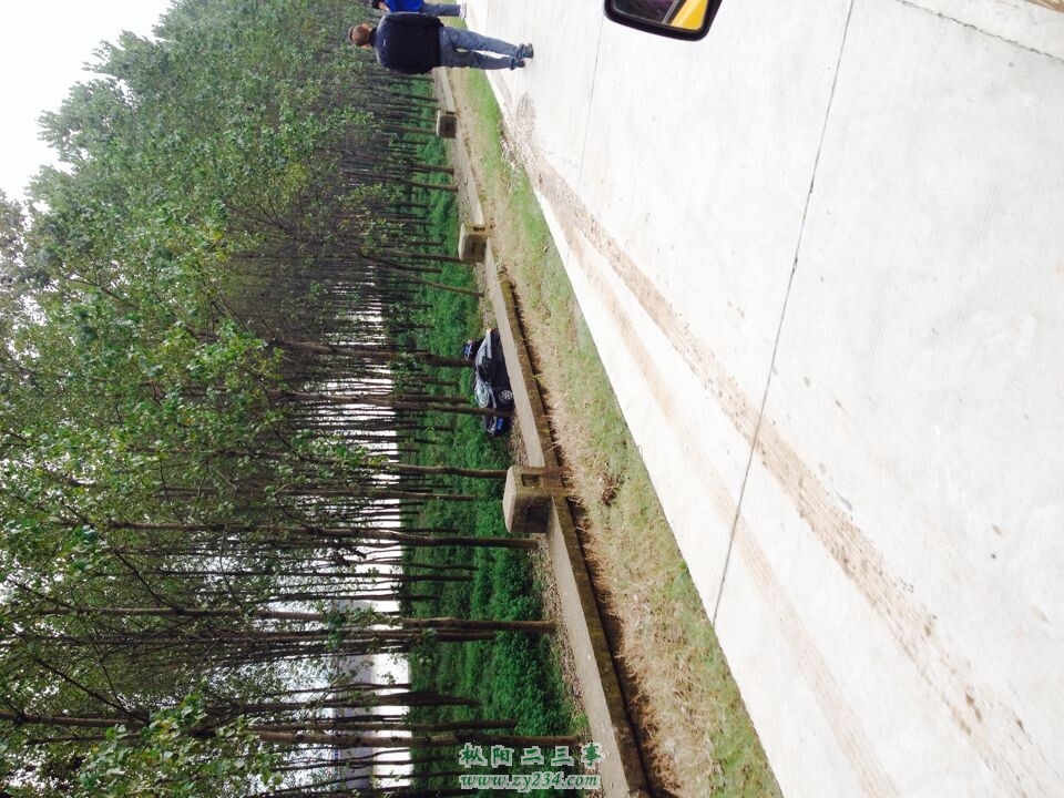 QQ图片20140920123337.jpg