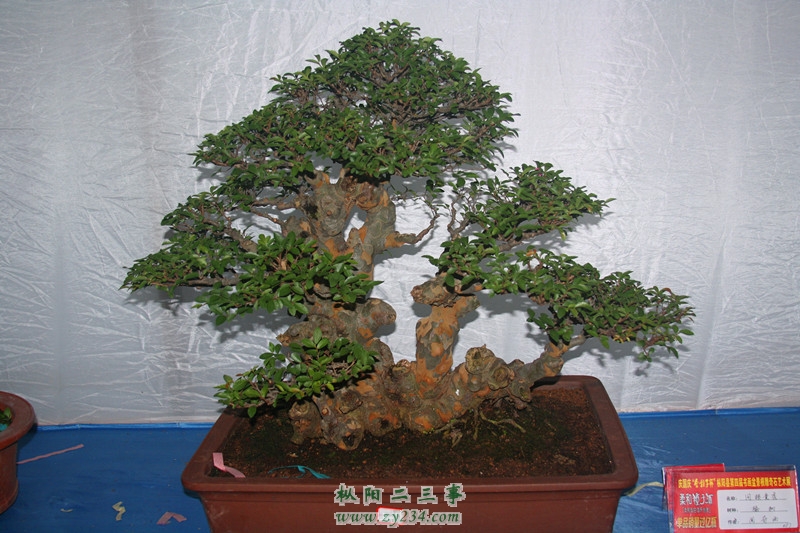 IMG_0461_副本.jpg