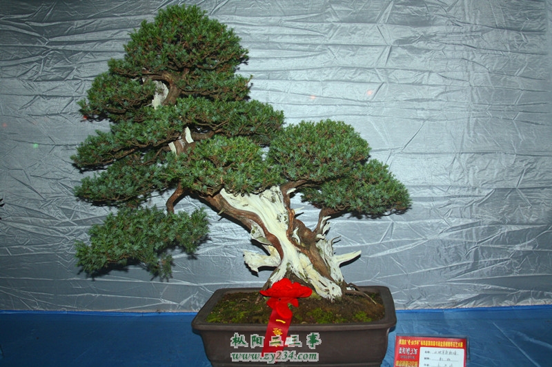 IMG_0441_副本.jpg