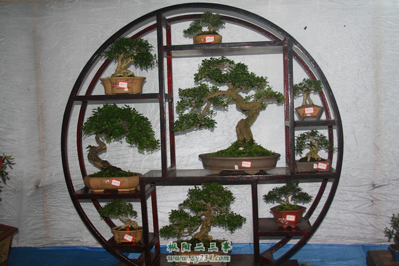 IMG_0456_副本.jpg