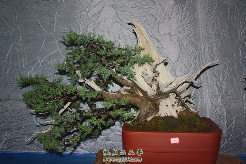 IMG_0451_副本.jpg