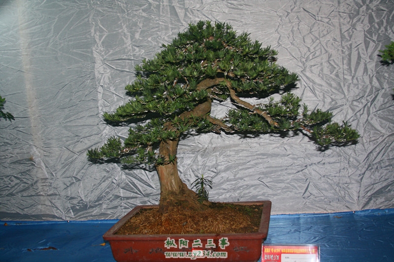 IMG_0455_副本.jpg