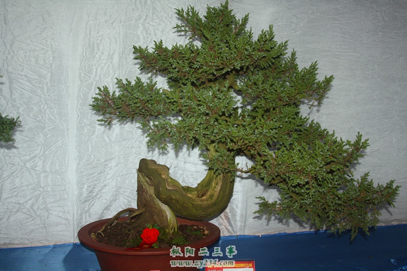 IMG_0458_副本.jpg