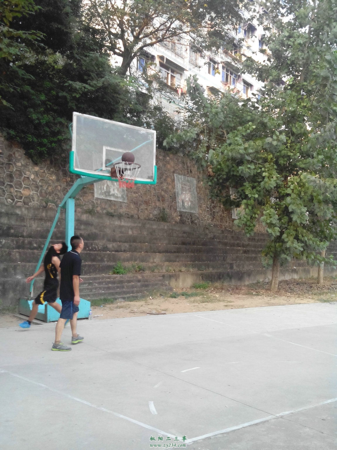 IMG_20140917_170533.jpg