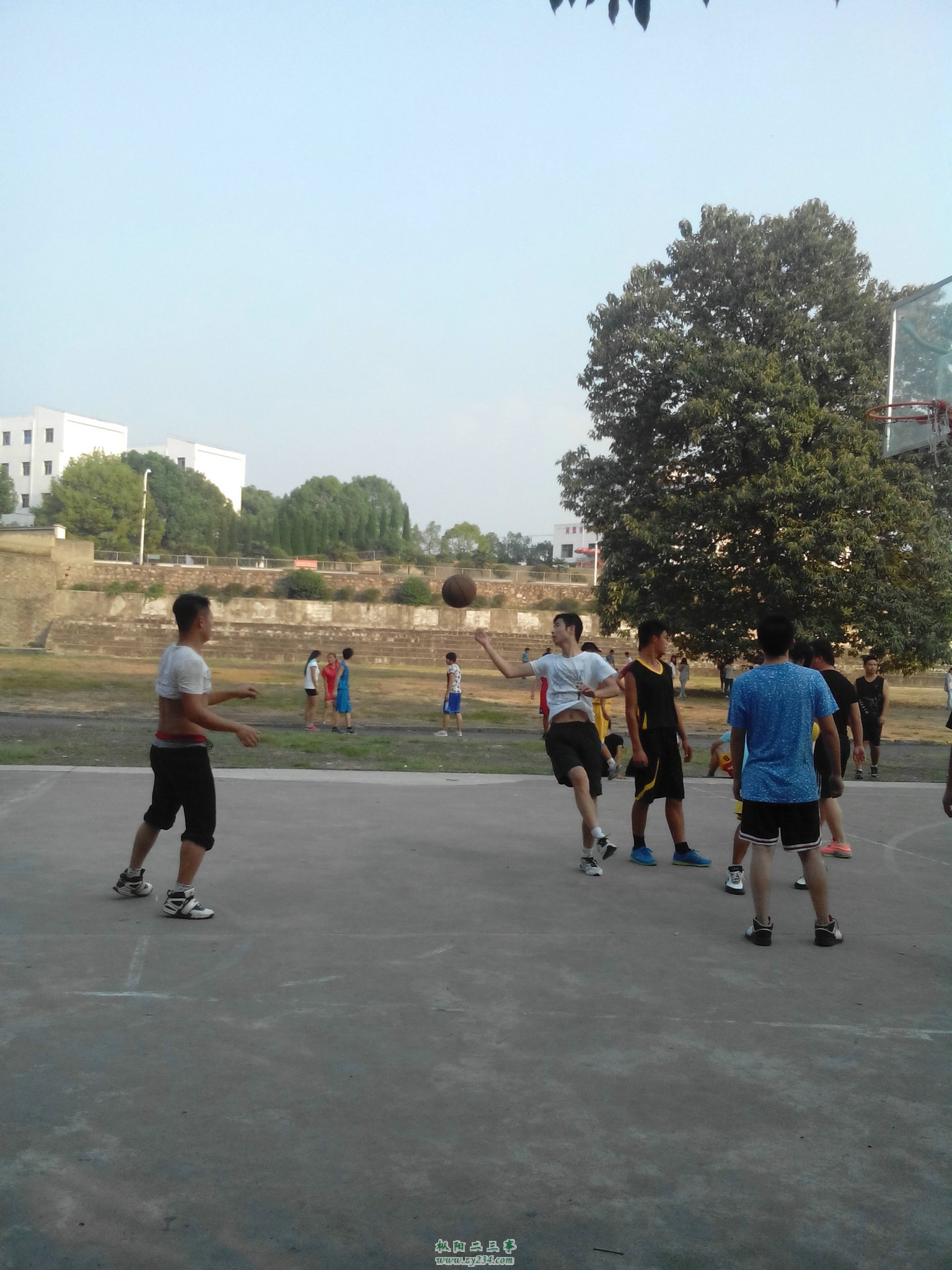 IMG_20140917_165314.jpg