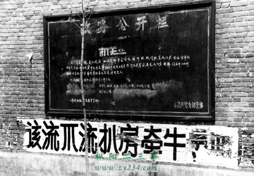 jishengtu2.jpg