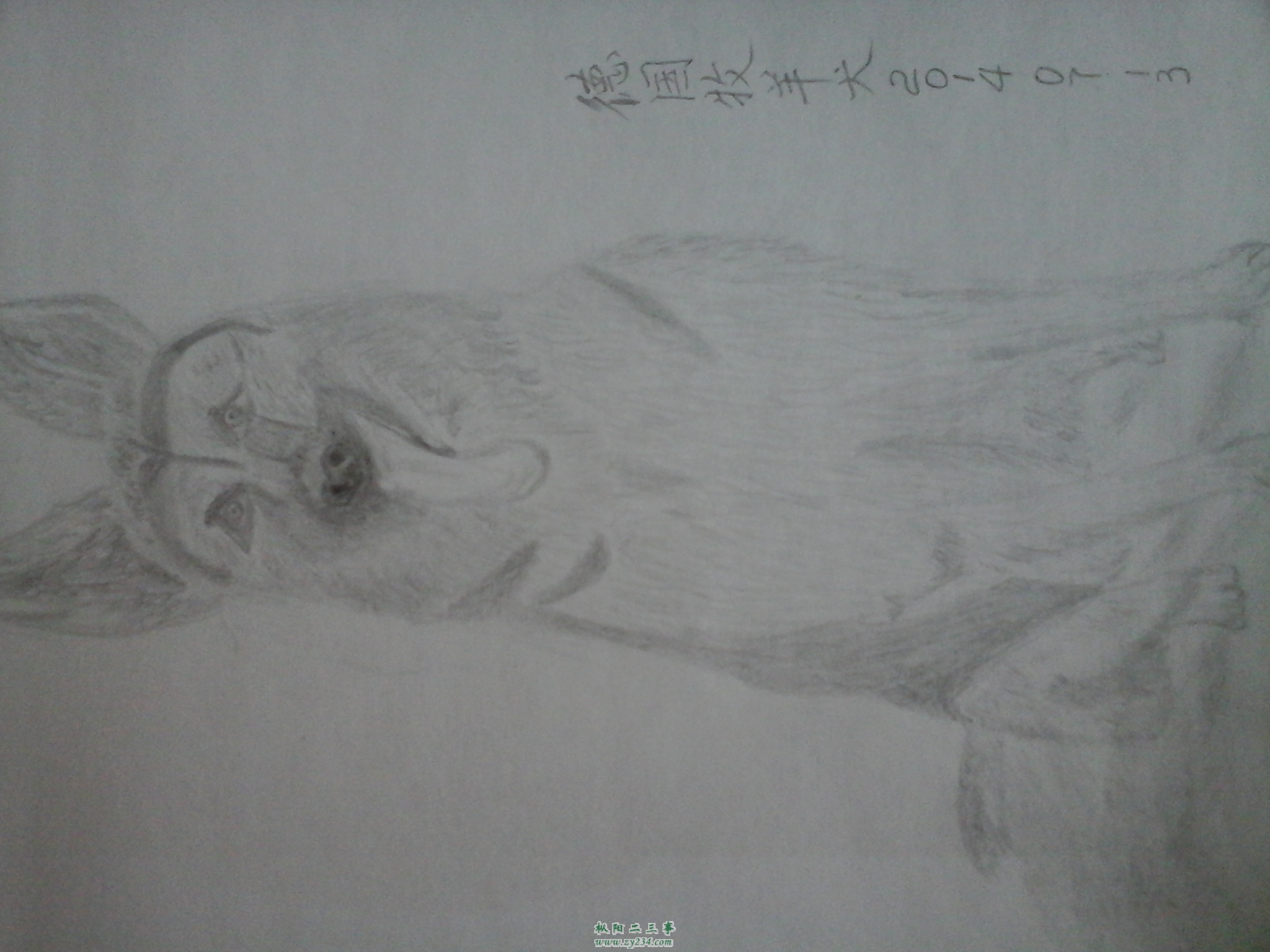 20140805_073019.jpg