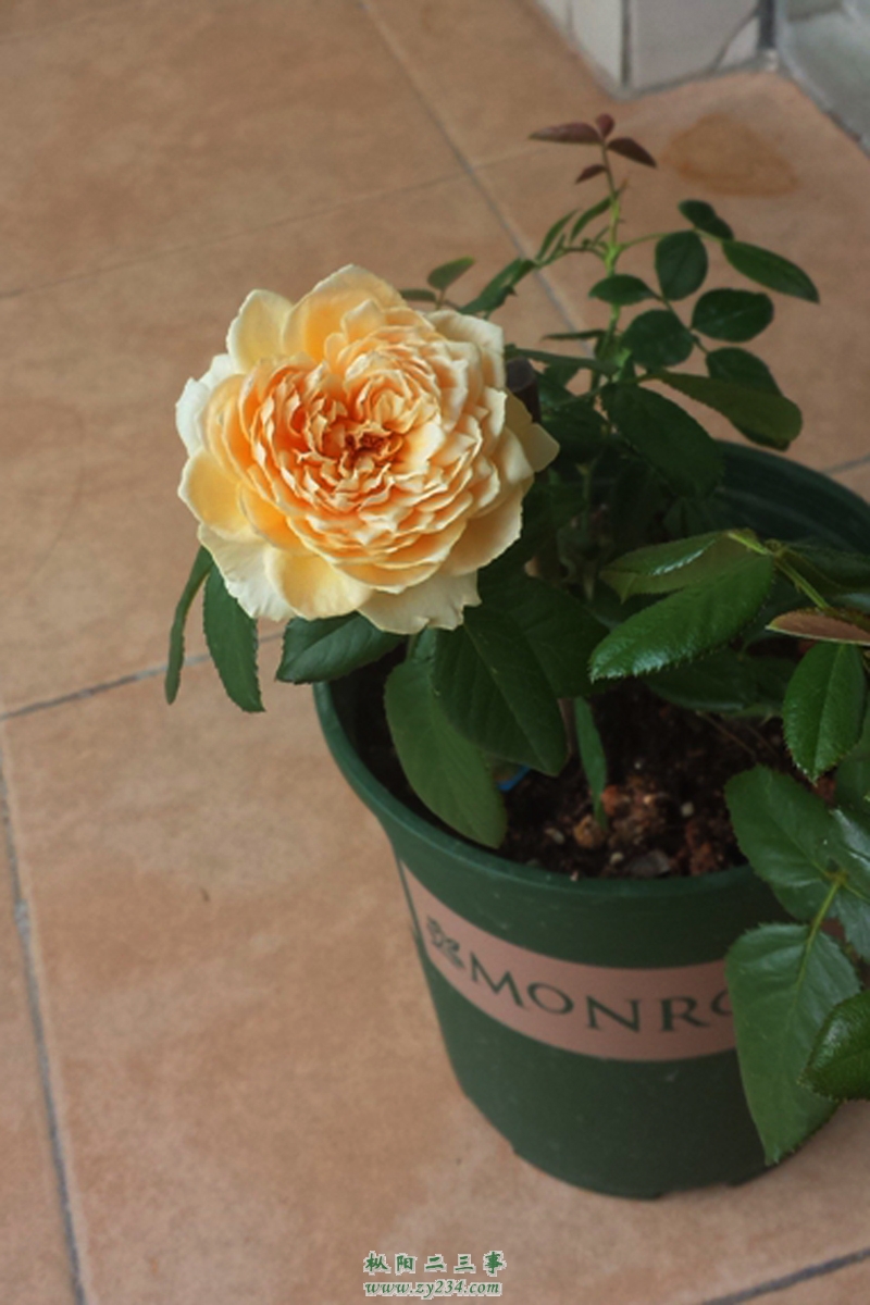 20140903131554.jpg