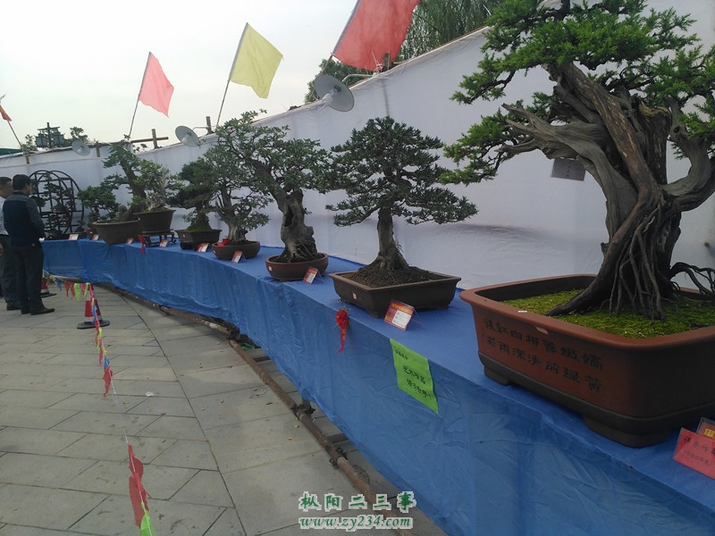 IMG_20141002_101557_副本.jpg