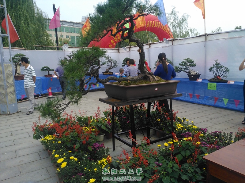 IMG_20141002_101445_副本.jpg