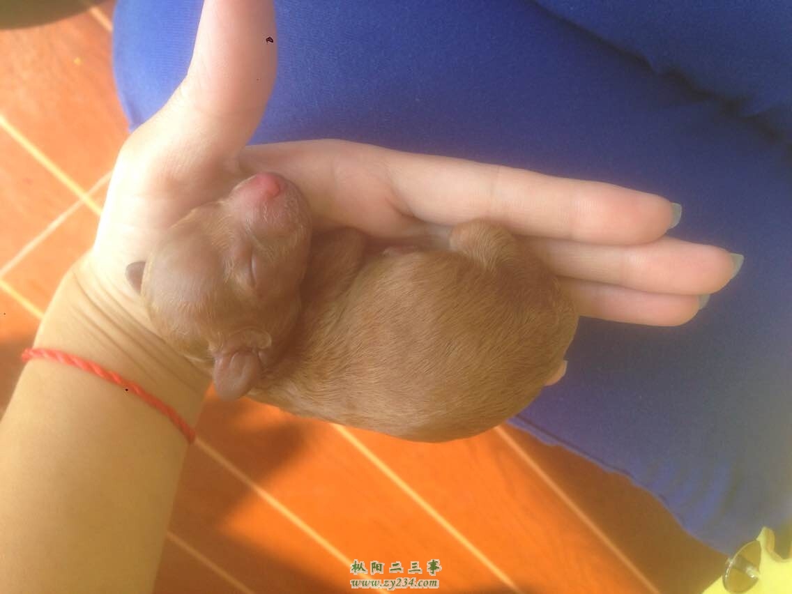 请输入描述