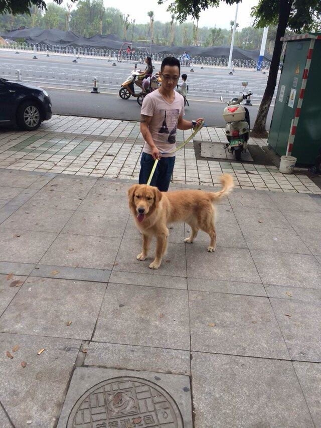 QQ图片20141007133322.jpg