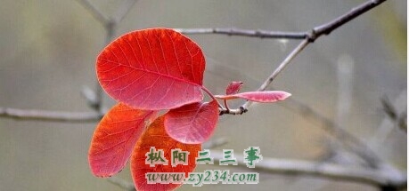 QQ图片20141118120203.jpg