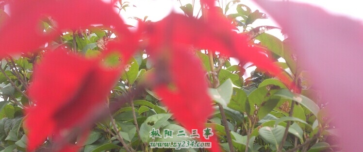 QQ图片20141125194135.jpg