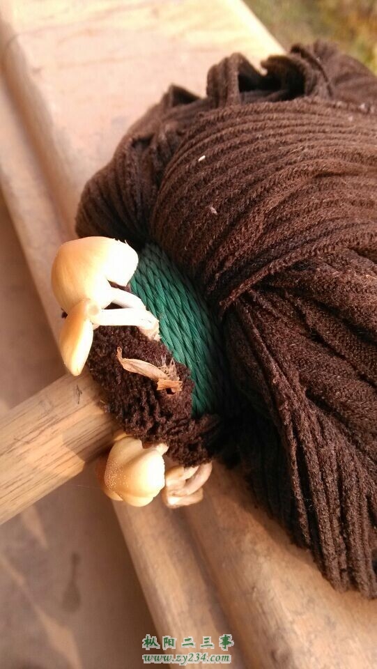 、、、、、、