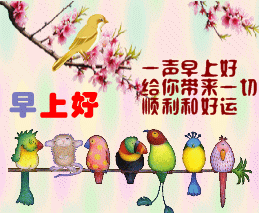 QQ图片20141128084228.gif
