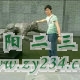 61e04755jw1encop6rixwj20c306tjry.jpg