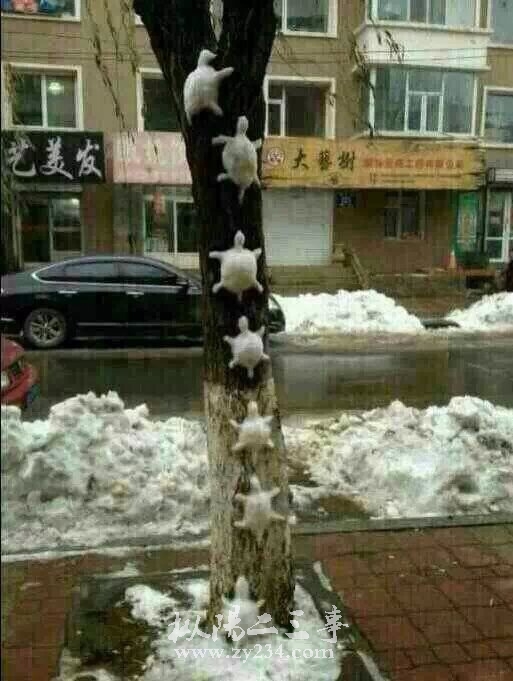 雪王八蛋.jpg