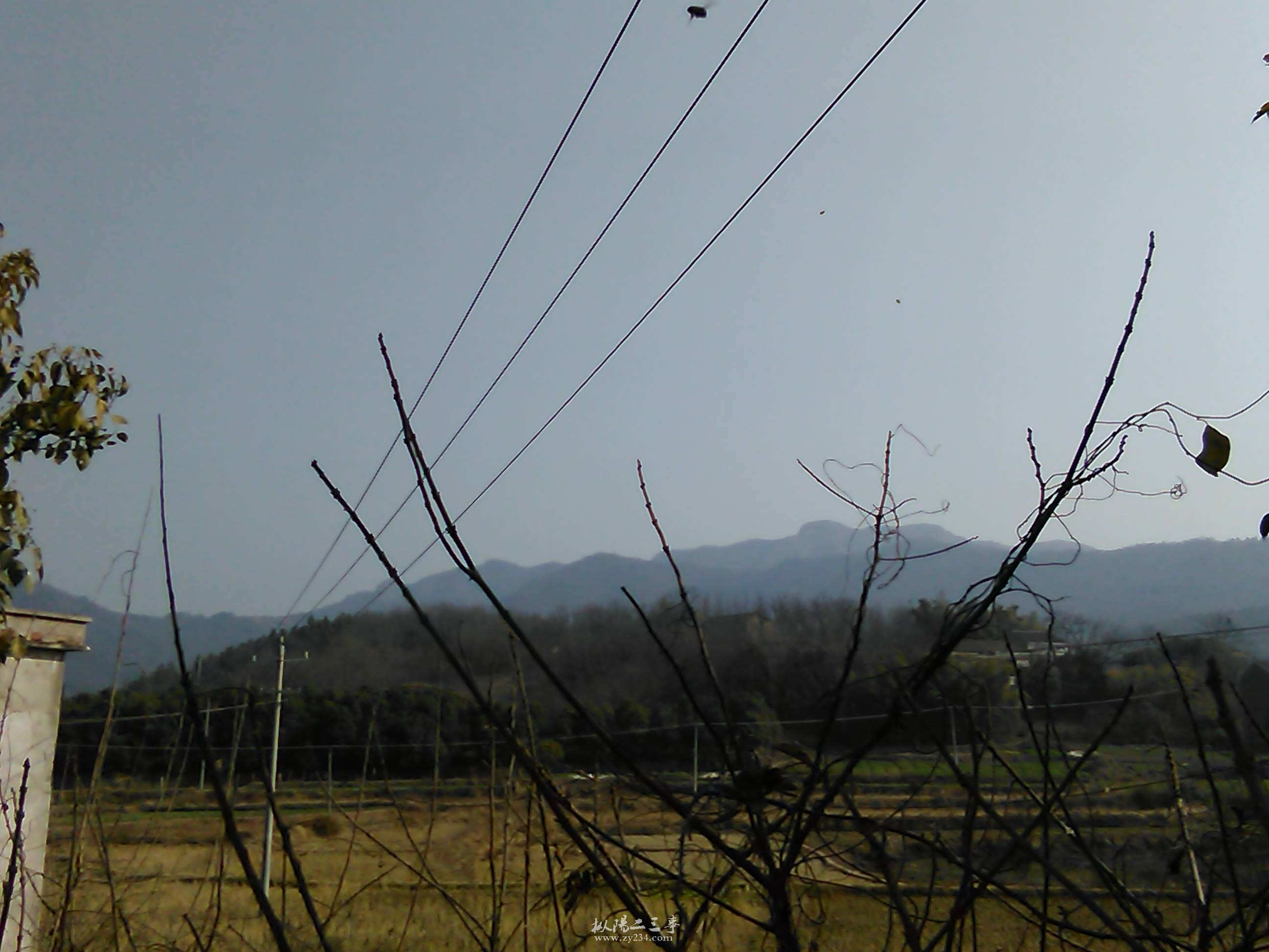IMG_20150104_121355.jpg