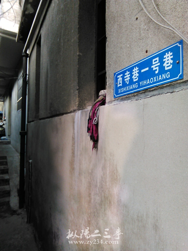 IMG_20141117_074231.jpg