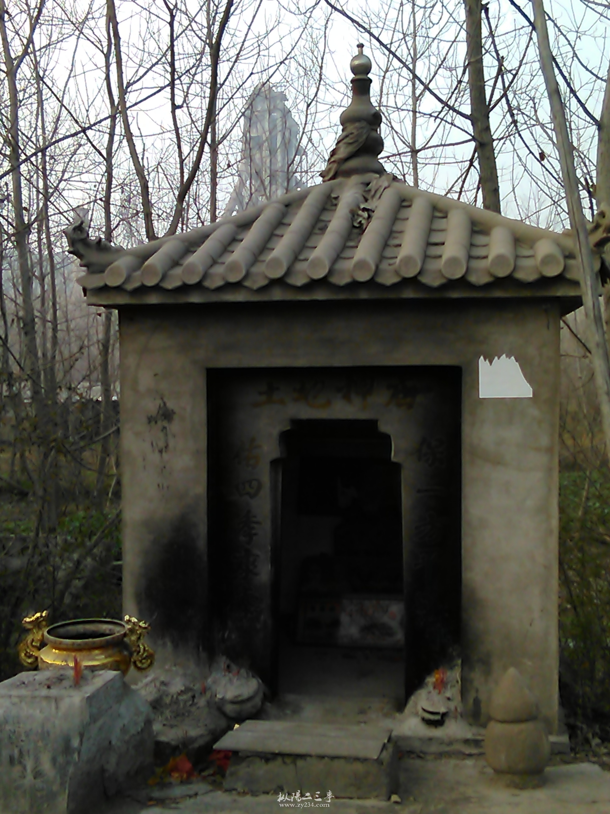 IMG_20150116_160724.jpg