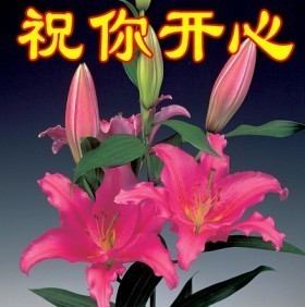 QQ图片20130926132806.jpg
