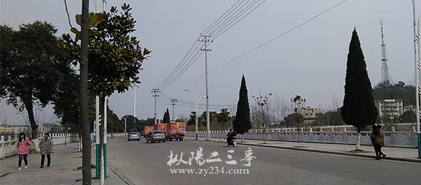 IMG_20150219_135951.jpg