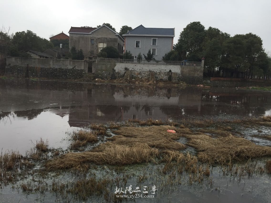 QQ图片20150227103542.jpg