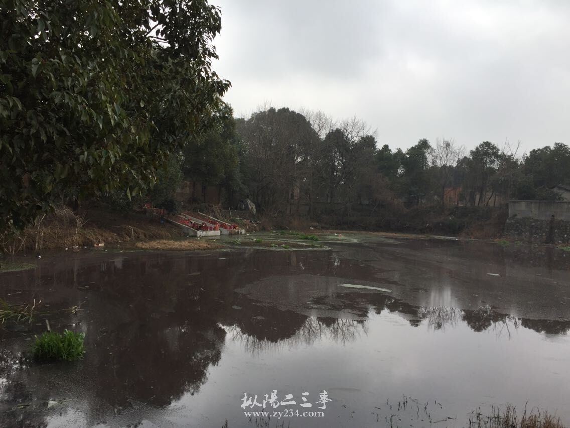 QQ图片20150227103556.jpg