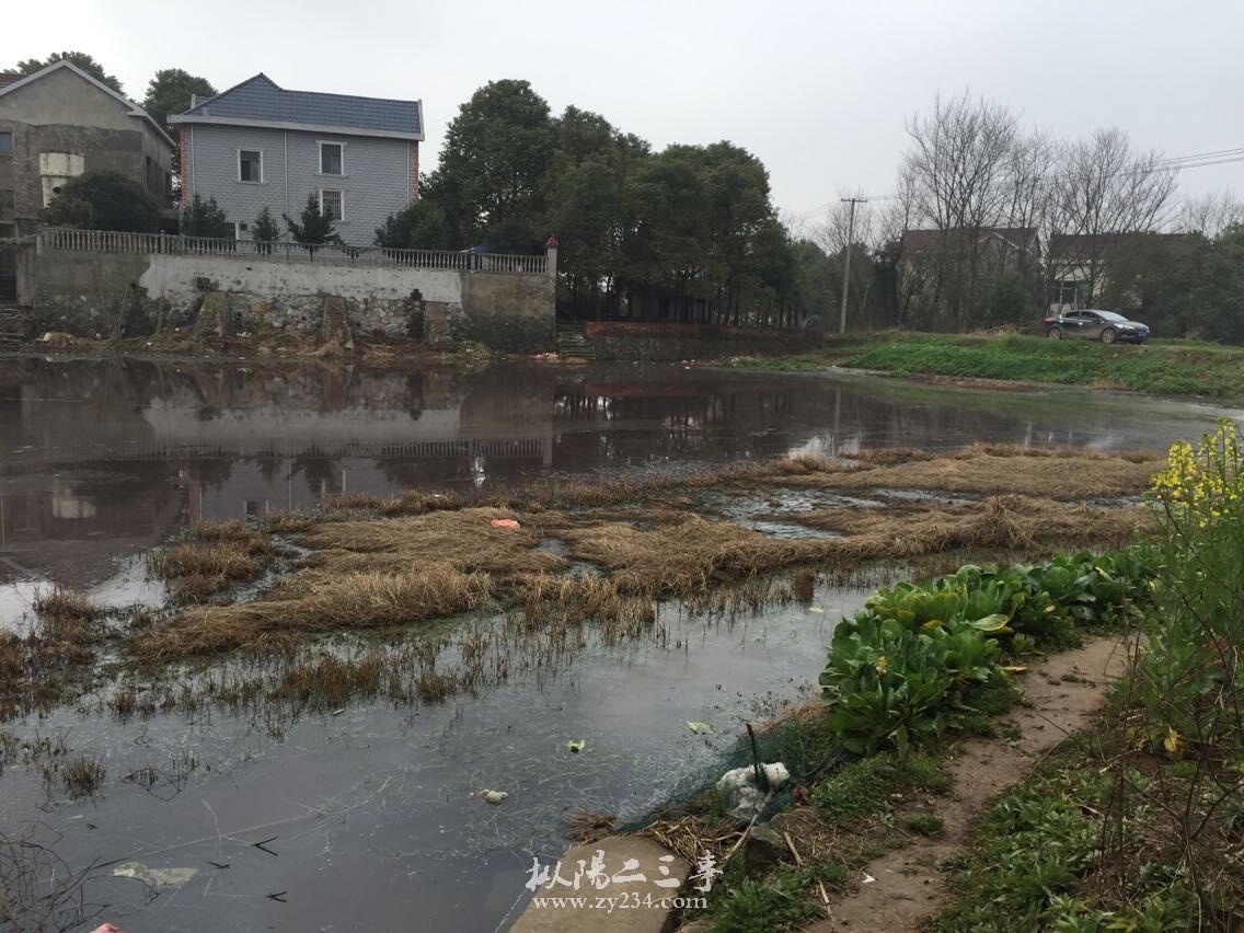 QQ图片20150227103536.jpg