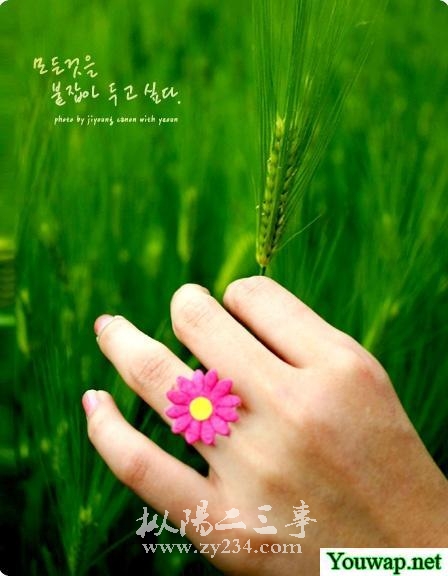 20青青草.jpg