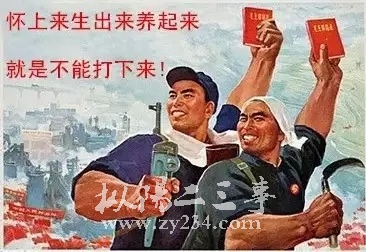 怀上来，生出来，养起来，就是不能打下来.jpeg