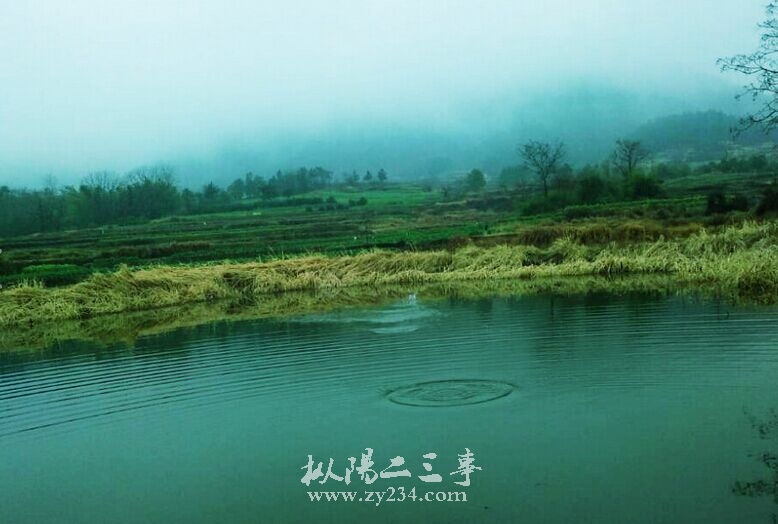 QQ图片20150325110509.jpg