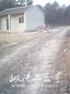 IMG0012A.jpg