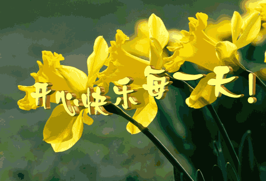 4d27513d269759ee0b57e2efb0fb43166c22dfe8.gif