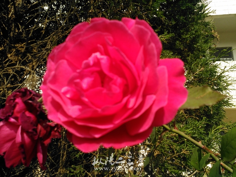 IMG_20141209_105804_副本.jpg