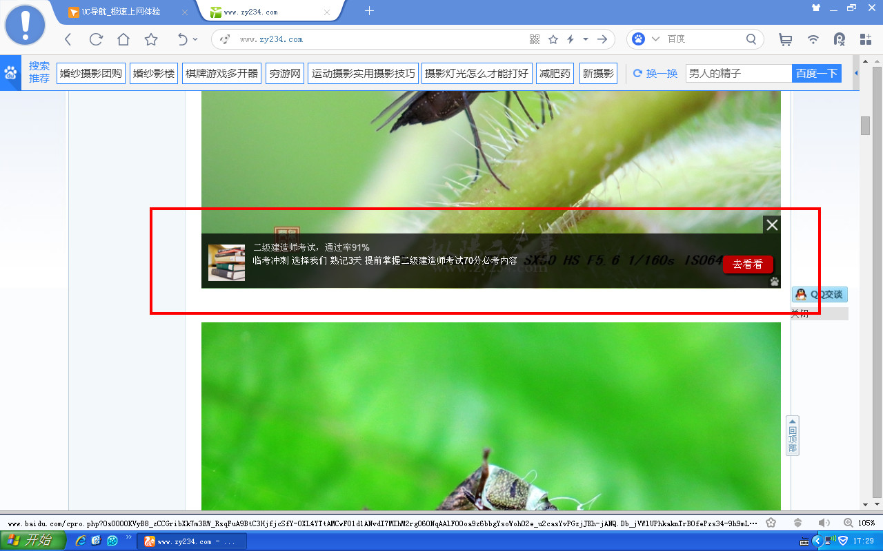 图片1.jpg