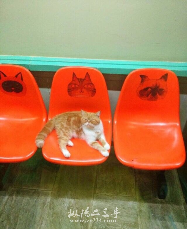 请输入描述