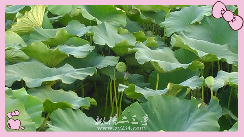 IMG_20150726_183216_副本.jpg