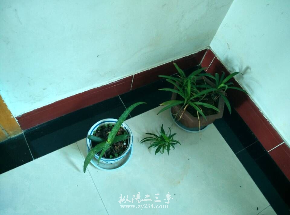 QQ图片20150821092101.jpg